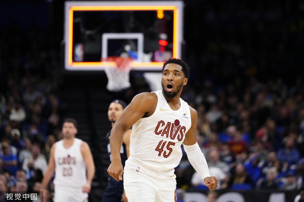 主导地位 主导地位