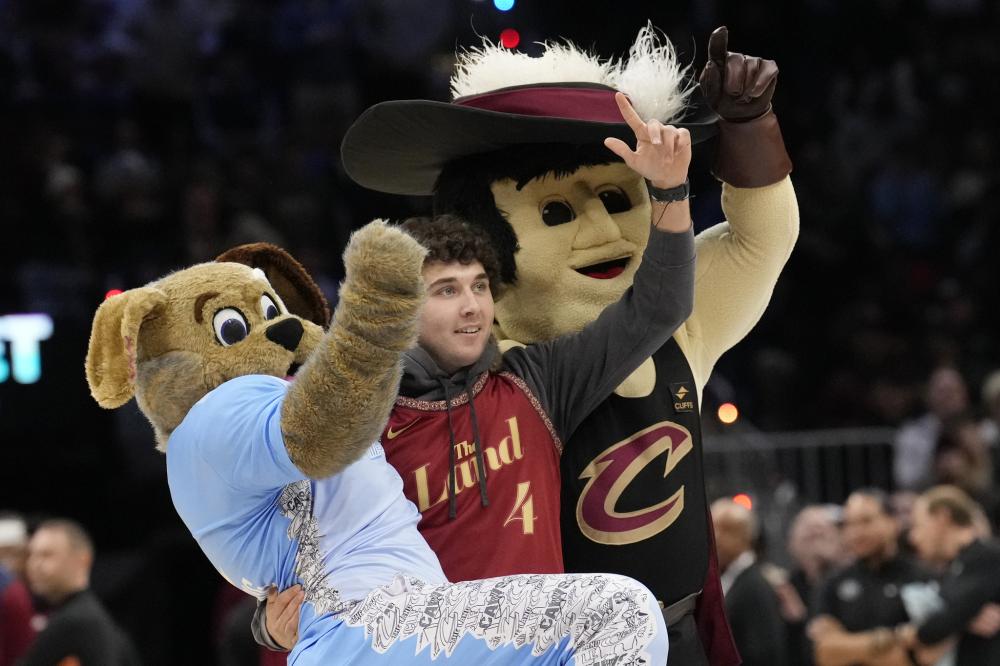 开了自己的 开了自己的